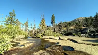 Musick Creek Falls - Mlhxxotz2Ss7Xc59Aqsn