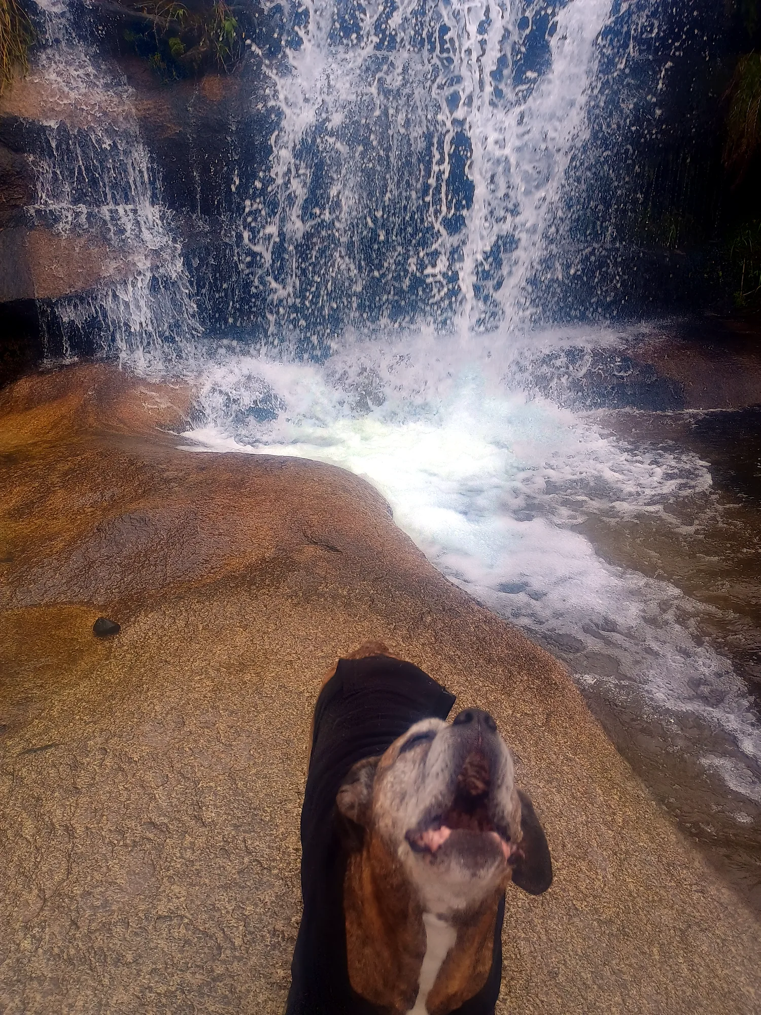 Musick Creek Falls - Img 20251015 144928925 Hdr